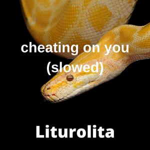 少扫BBBBB毛多水多
