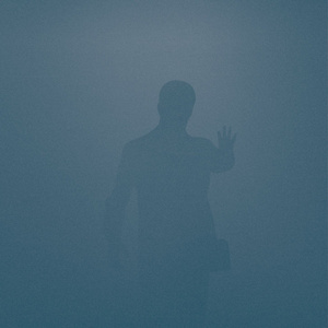 少扫BBBBB毛多水多
