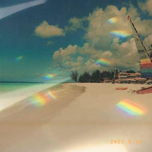 少扫BBBBB毛多水多
