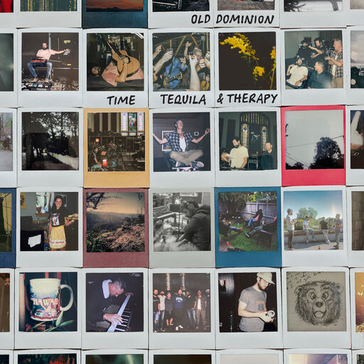 少扫BBBBB毛多水多
